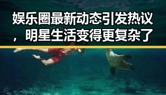 娱乐圈最新动态引发热议，明星生活变得更复杂了